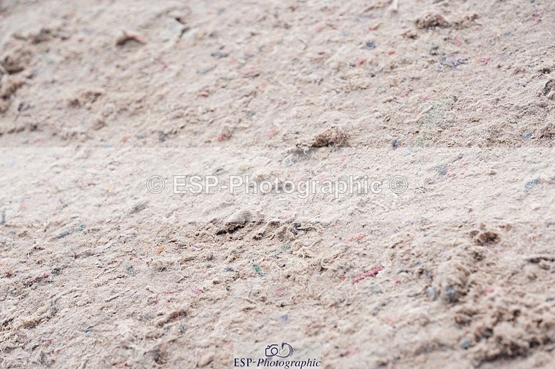 250425-110440-08564 - Cls 38 Amateur Tour