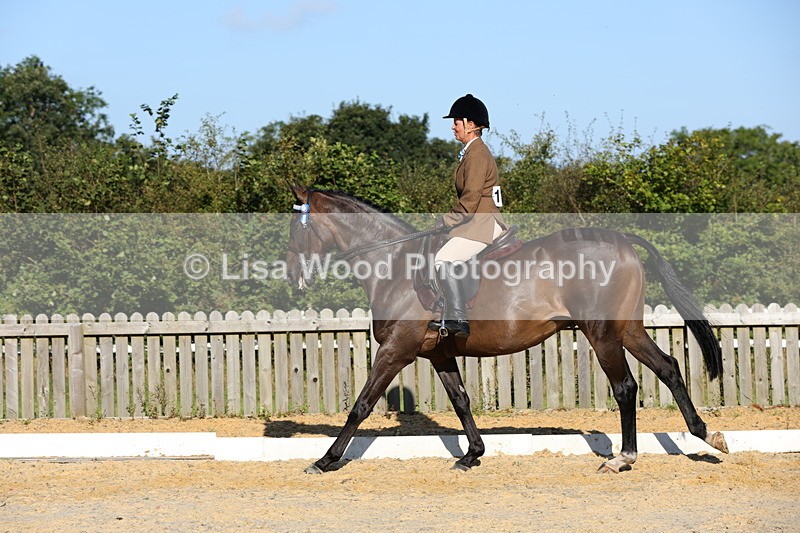1X9A7587 - Class 7: Novice Ridden Hunter/Hack/Cob/Riding Horse