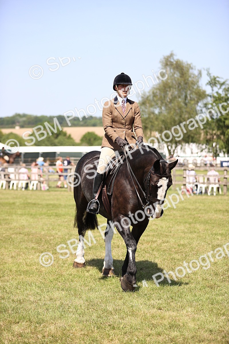 SBM_17882 - Class 81-83 - TSR Ridden Amateur of the Year - Horses