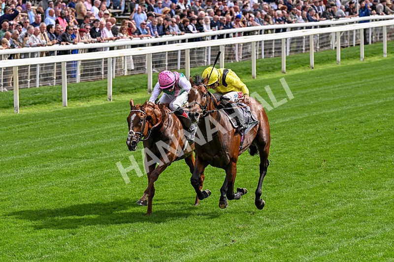 190826-Race 4-Item-0475 - Race 4 15.35pm Juddmonte International Stakes