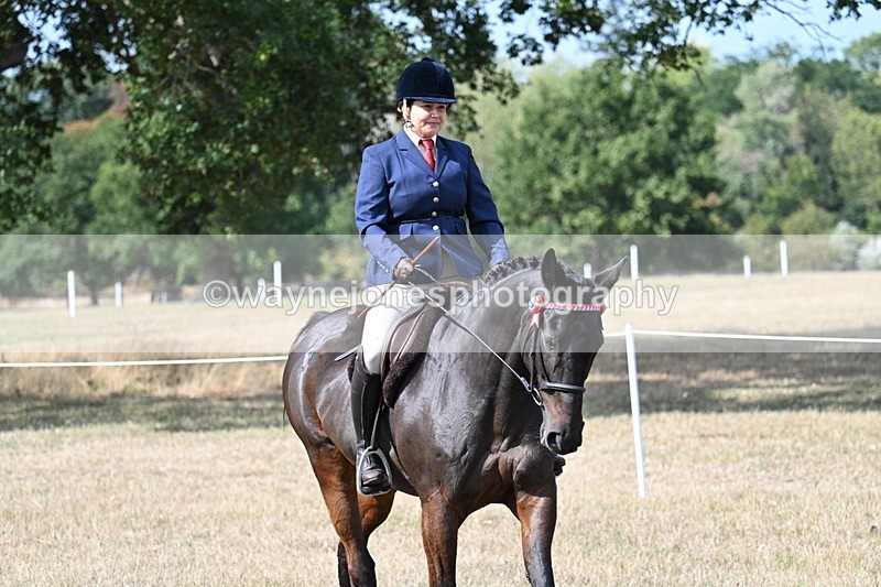 WJ7_6237 - Class 13 Ridden Veterans