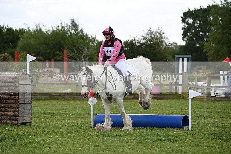 WJ6_2537 - Class 2 40cm