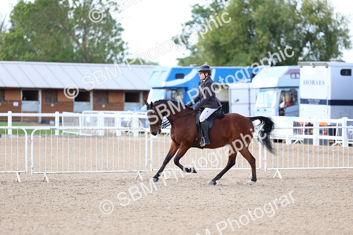 SBM_10851 - Class 305 - Ridden Foreign Breeds - Pure Bred