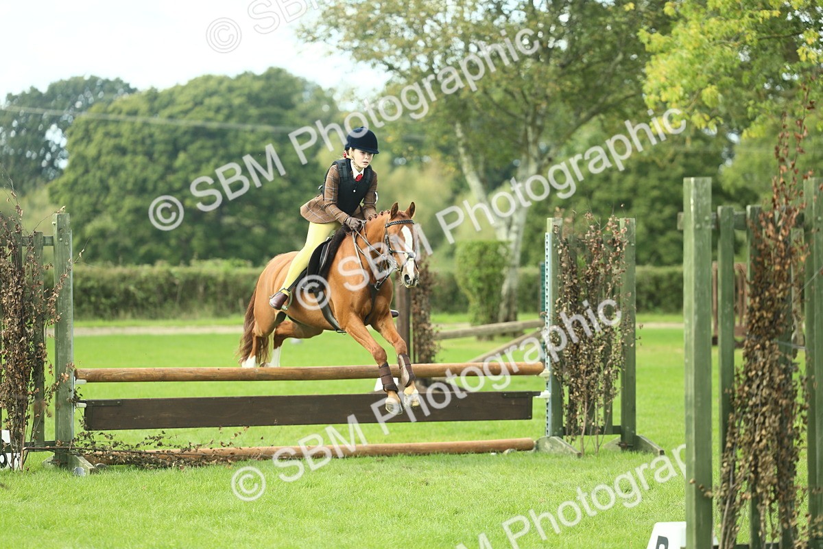 SBM_44645 - S31 - Working Hunter Pony
