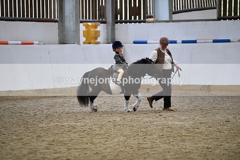 WJ5_6657 - Class 10 Childs Pony