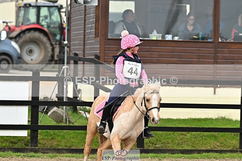 241110-113510-00469 - 50-55cm Arena Eventing