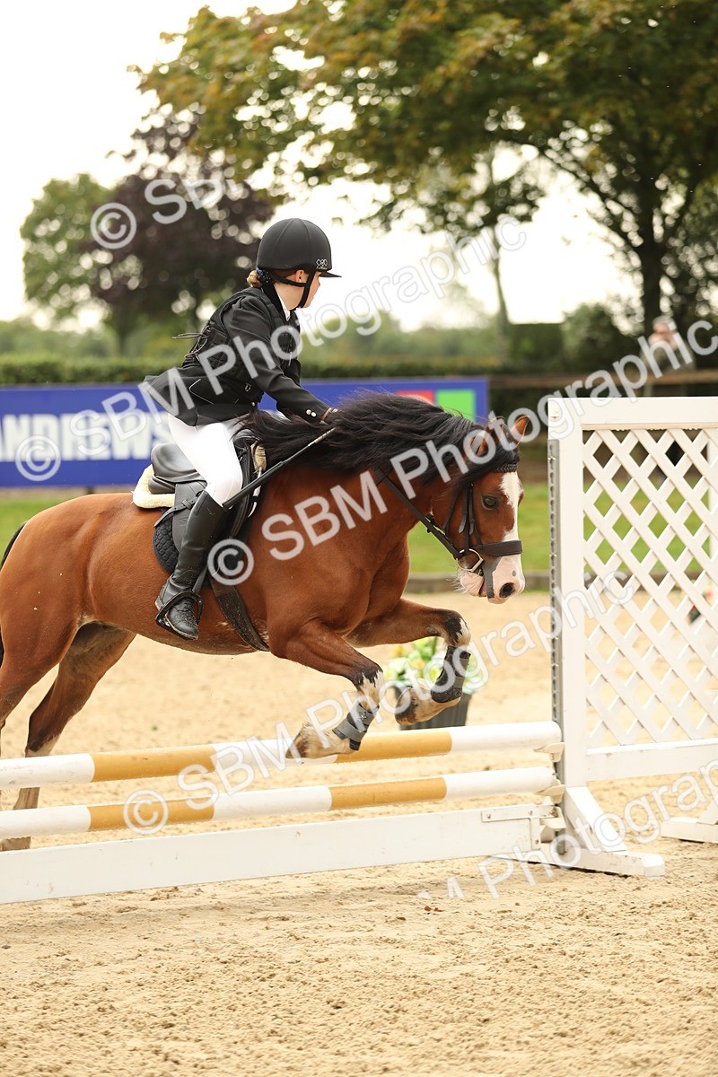 SBM_34259 - J60 Clear Round 50cm
