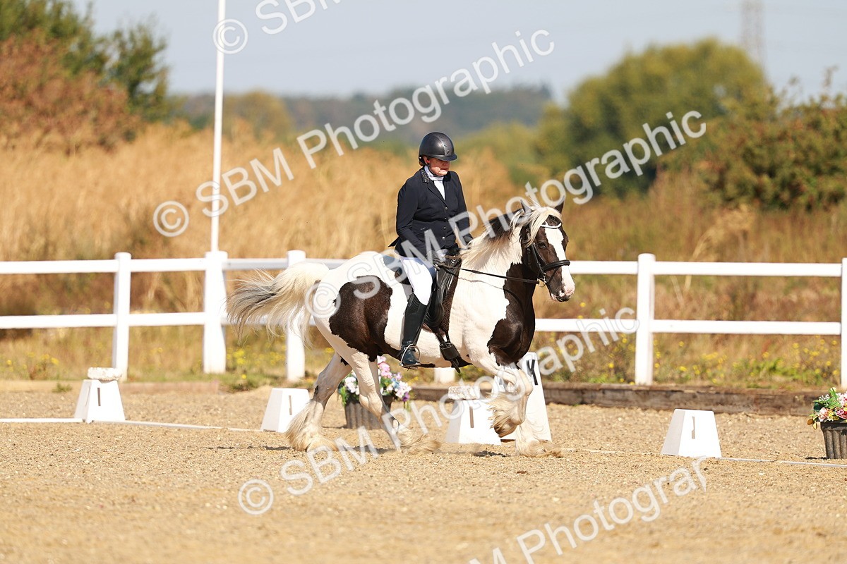 SBM_016747 - Class 9 - N5 Bronze 9.30.10.19