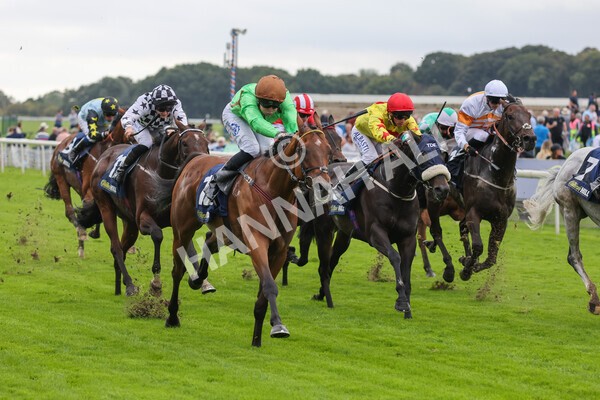 yr24092021r3-25 - Race 3 2.40pm WilliamHill.com Best Odds Guaranteed Stakes