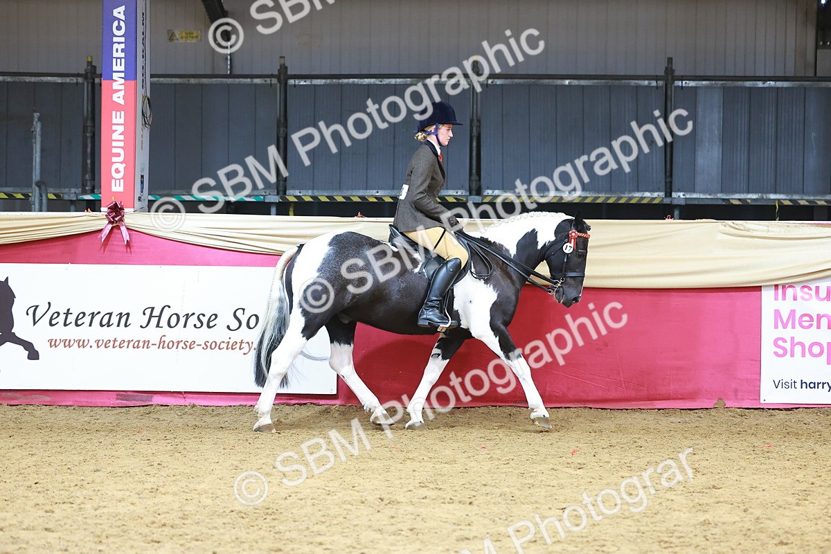 SBM_10519 - Class 103 - HOYS Veteran Qualifier - Ridden Pre Vet