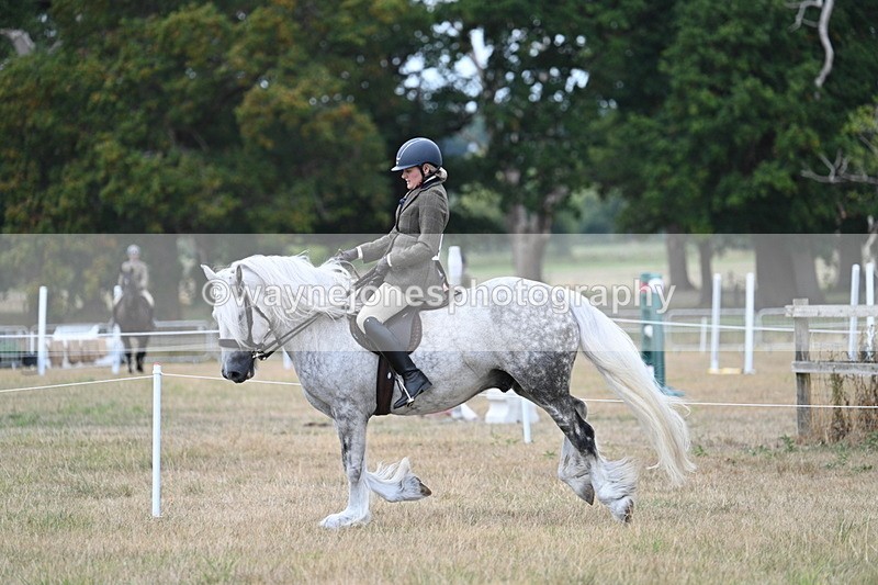 WJ7_5146 - Class 12 Ridden Cob