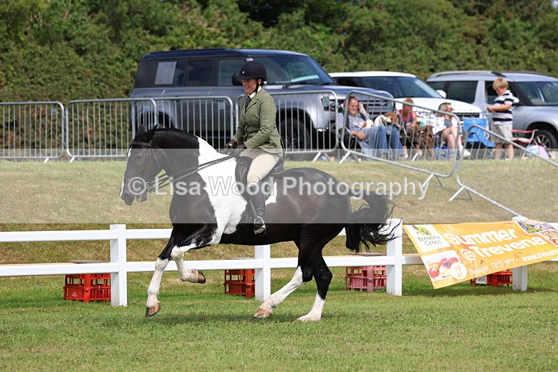 3E7A0197 - Class 6: Rising Star Maxi Cobs