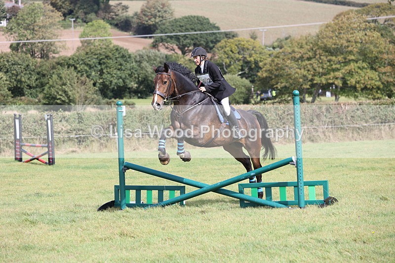 JPP_8805 - Class 2: Trekenning: 80cm Showjumping