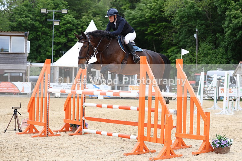 3E7A9584 - Class 9: Senior Foxhunter/1.20 open