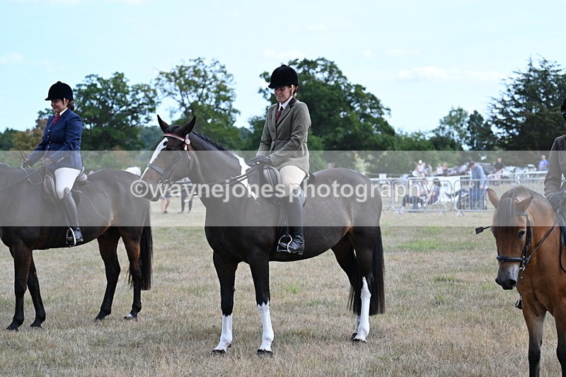 WJ7_6309 - Class 13 Ridden Veterans