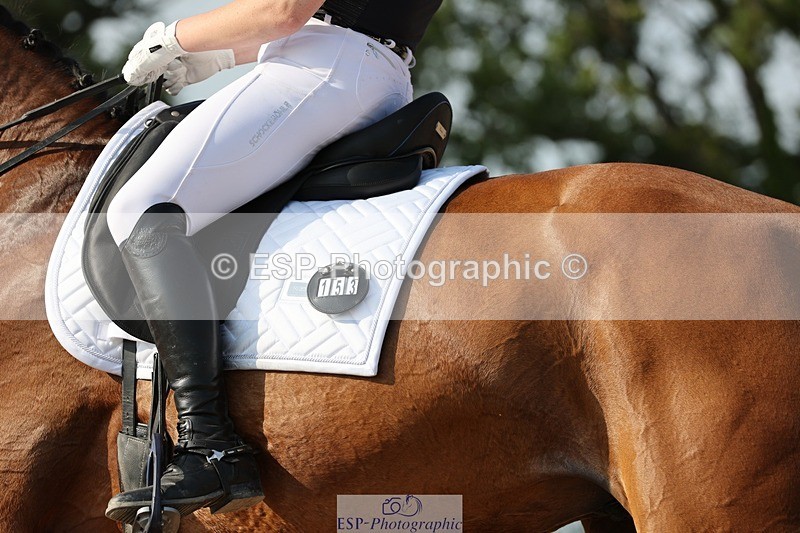 250621-175324-10190 - Cls 42+43 - FEI Inter II and GP