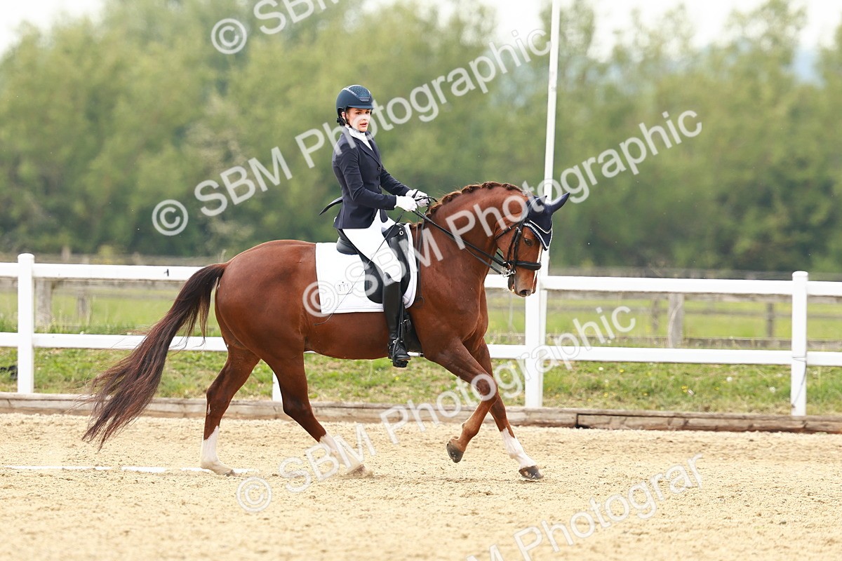 SBM_002779 - Class 12 - Medium 4