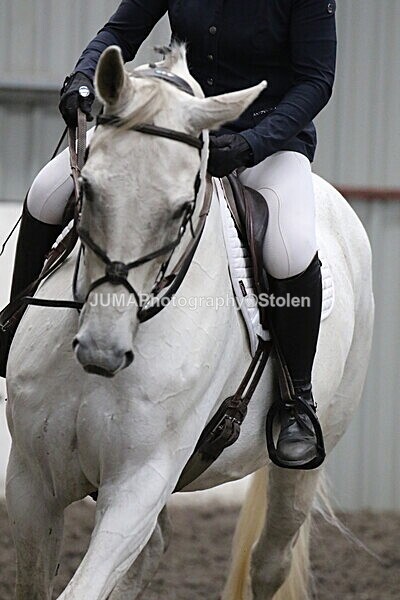 SIAL5755 - CAbin Dressage 5th july 2025