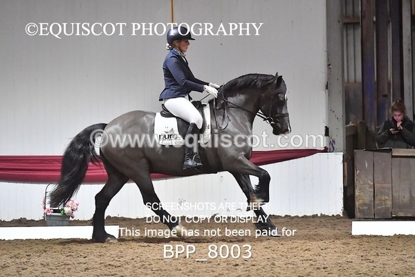 BPP_8003 - ELEM TEST 6