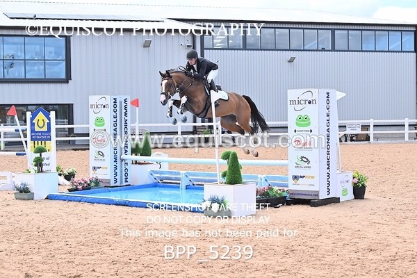 BPP_5239 - CLASS 8 THURS HOYS GFS Saddles Senior Newcomers Second Round