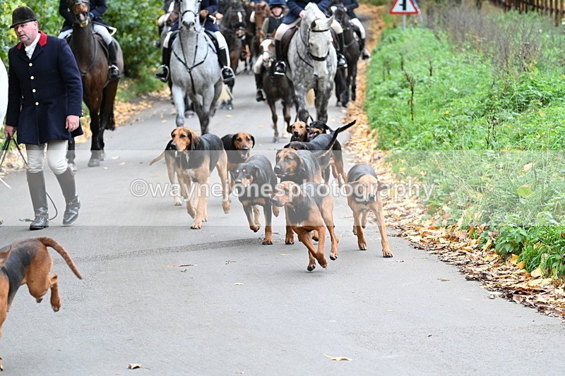 WJ7_7193 - Walk Home..