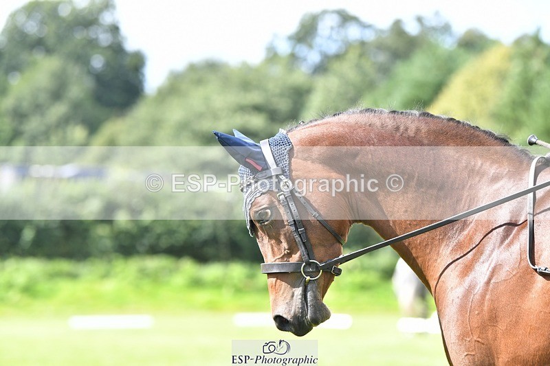 230826-144940-21820 - PC 70 2pm to End