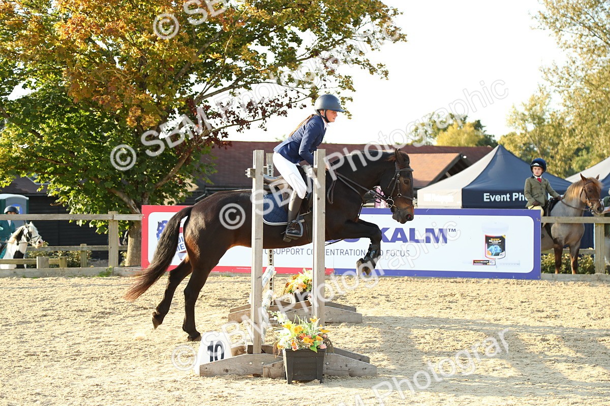 SBM_53833 - J8 - Junior Pony 65cm Championship