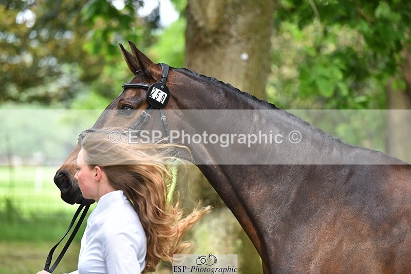 240522-171706-01506 - 259-METROPOLITAN_CLOVER-Megan_Brown