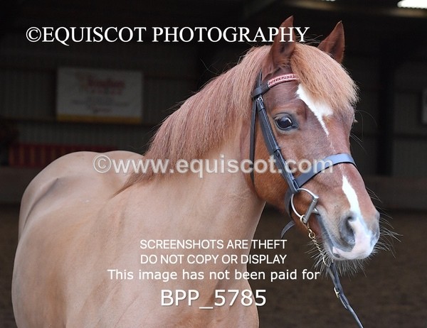 BPP_5785 - Sarah Page