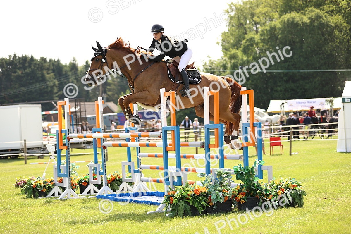 SBM_03107 - Class 201 - British Horse Feedds Speedi Beet HOYS Grade C