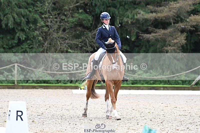 231019-130109-02904 - 049-AUGUSTUS.IMPERIOUS-Ines.Mitchell-DR