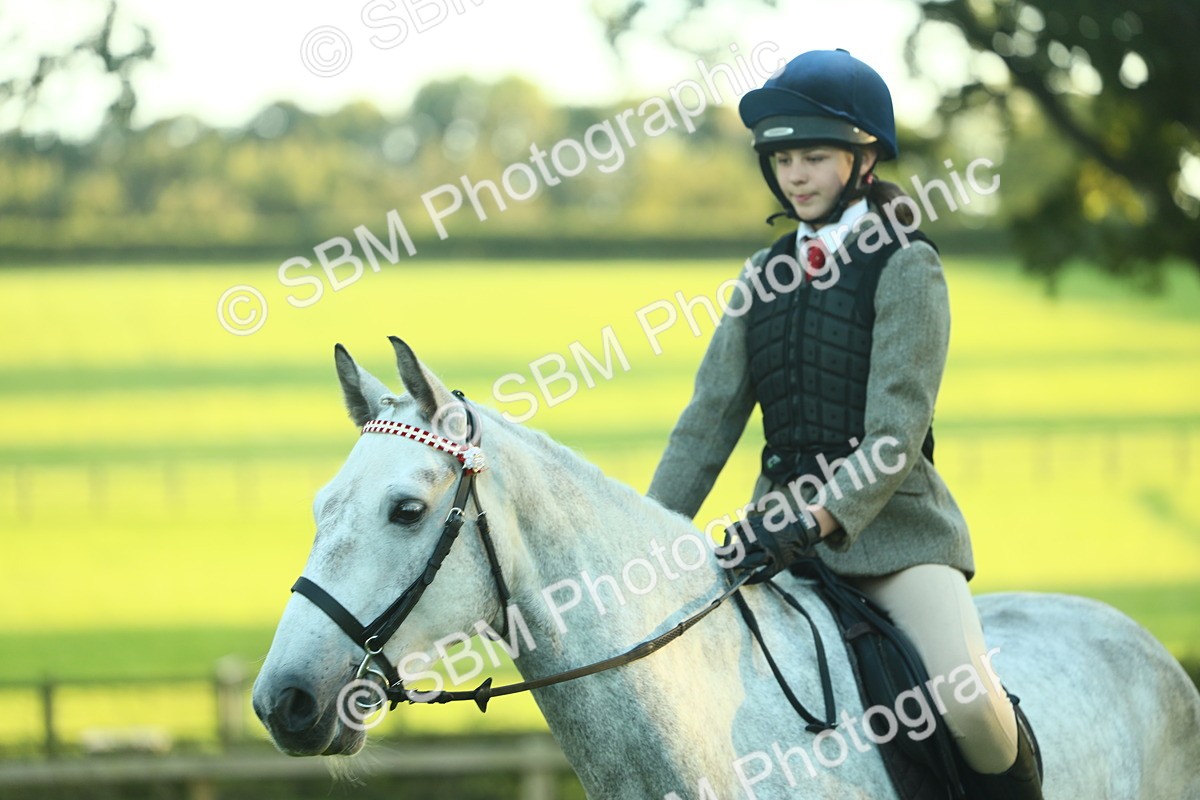 SBM_56467 - S14 - Riding Club Horse