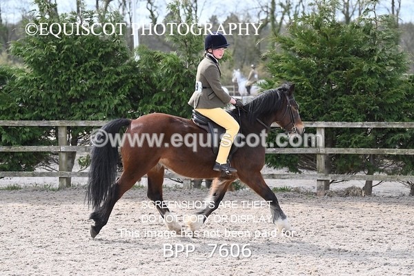 BPP_7606 - RING 1  (RIDDEN HORSES / IN HAND / VETERAN ETC)