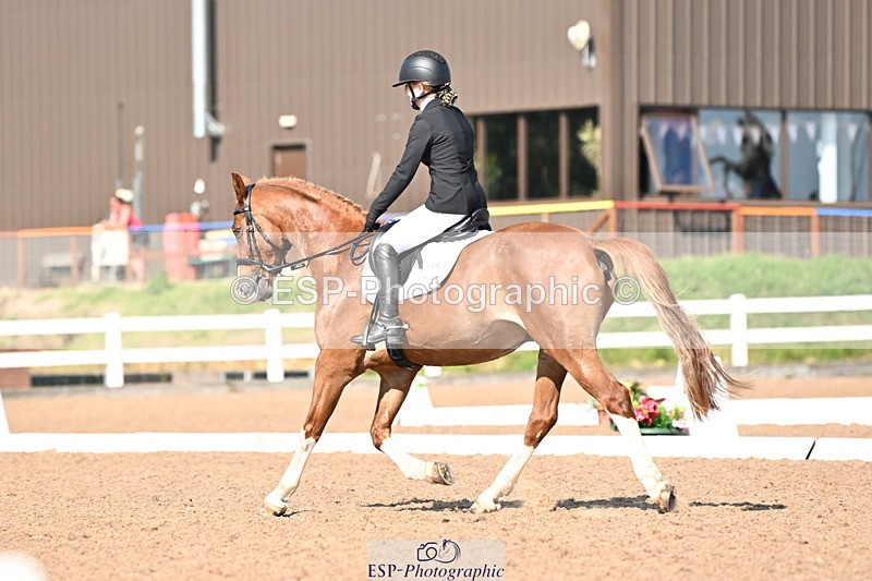 240816A-160818-06083 - 134-Mia.Marshall-Vino