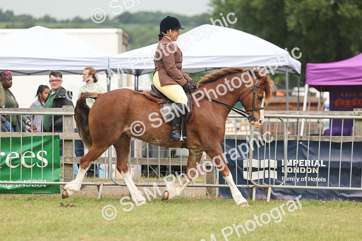 SBM_07161 - Class 76-77 - Ridden M&M Welsh Ponies