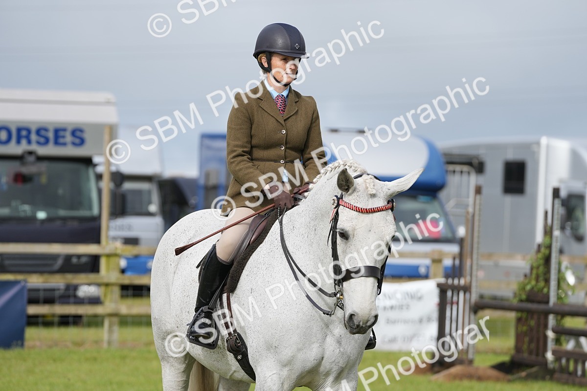 SBM_10594 - Class 97-98 - LIHS BSHA Rising Star Working Show Horse Hunter