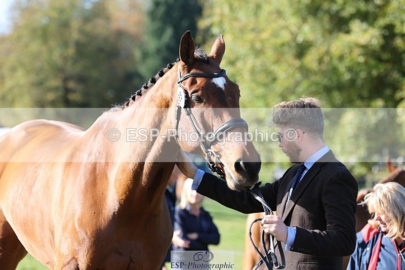 241027-101739-15796 - 555-Kane.Phillips-GURRAUN.CATCH.UP