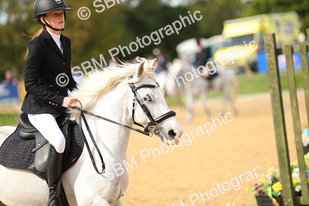 SBM_67269 - J17 - Junior Pony 80cm Championship
