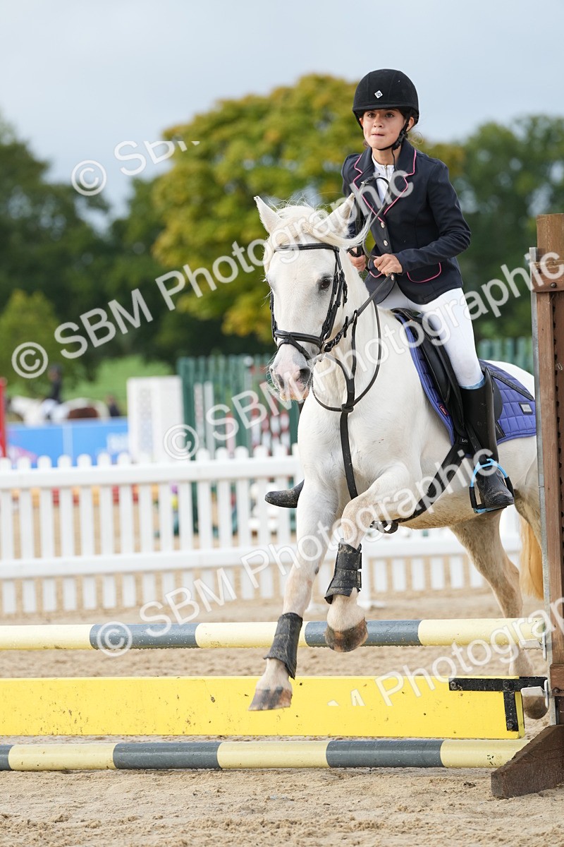 SBM_32330 - J5 - Junior Pony 50cm Championship