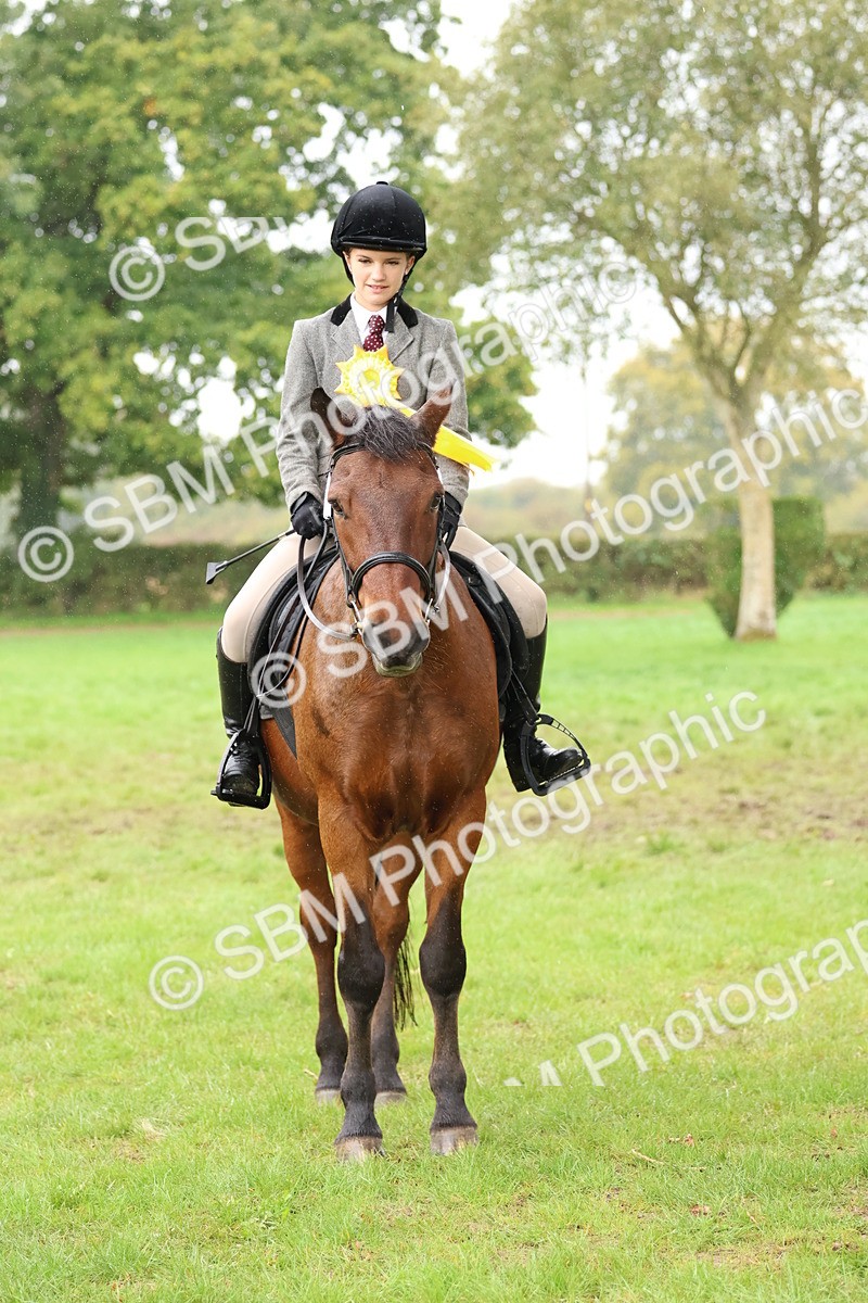 SBM_69752 - S62 - Mountain & Moorland Ridden Large Breeds