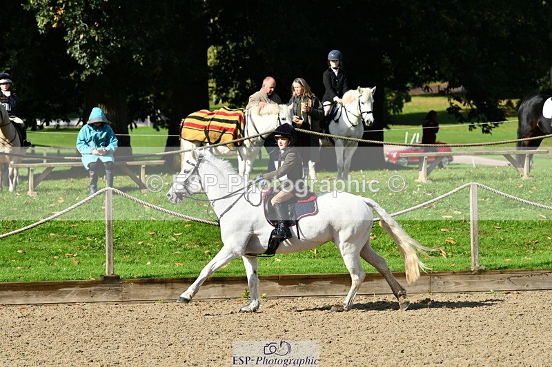 251004A-115740-00828 - Classes 4 & 5 50cm