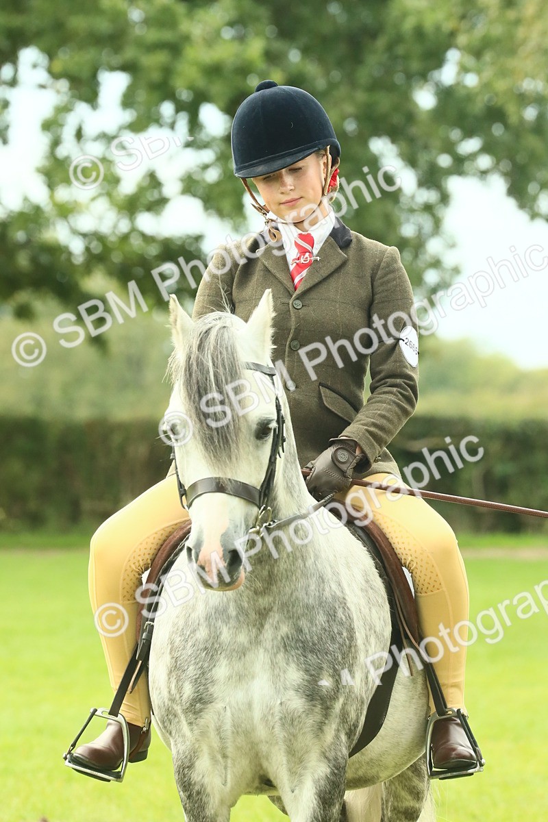 SBM_69991 - S59 - Mountain & Moorland Ridden Small Breeds