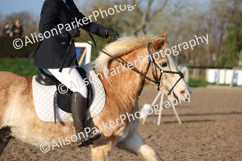 20251214-0060 - Class 1 - 60cm