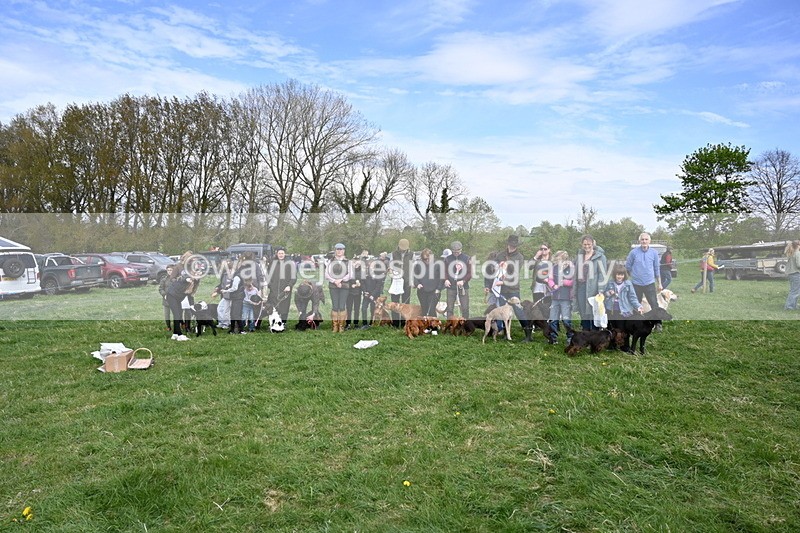 WJ6_9167 - Class 8 Best Working / Gun Dog or Bitch