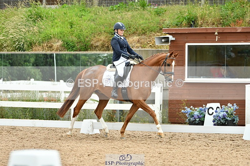 230701A-112424-04934 - Cls 9 Music Elementary