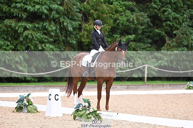 240809-121708-00729 - 185-Daisy.Hedges-Felicia.v