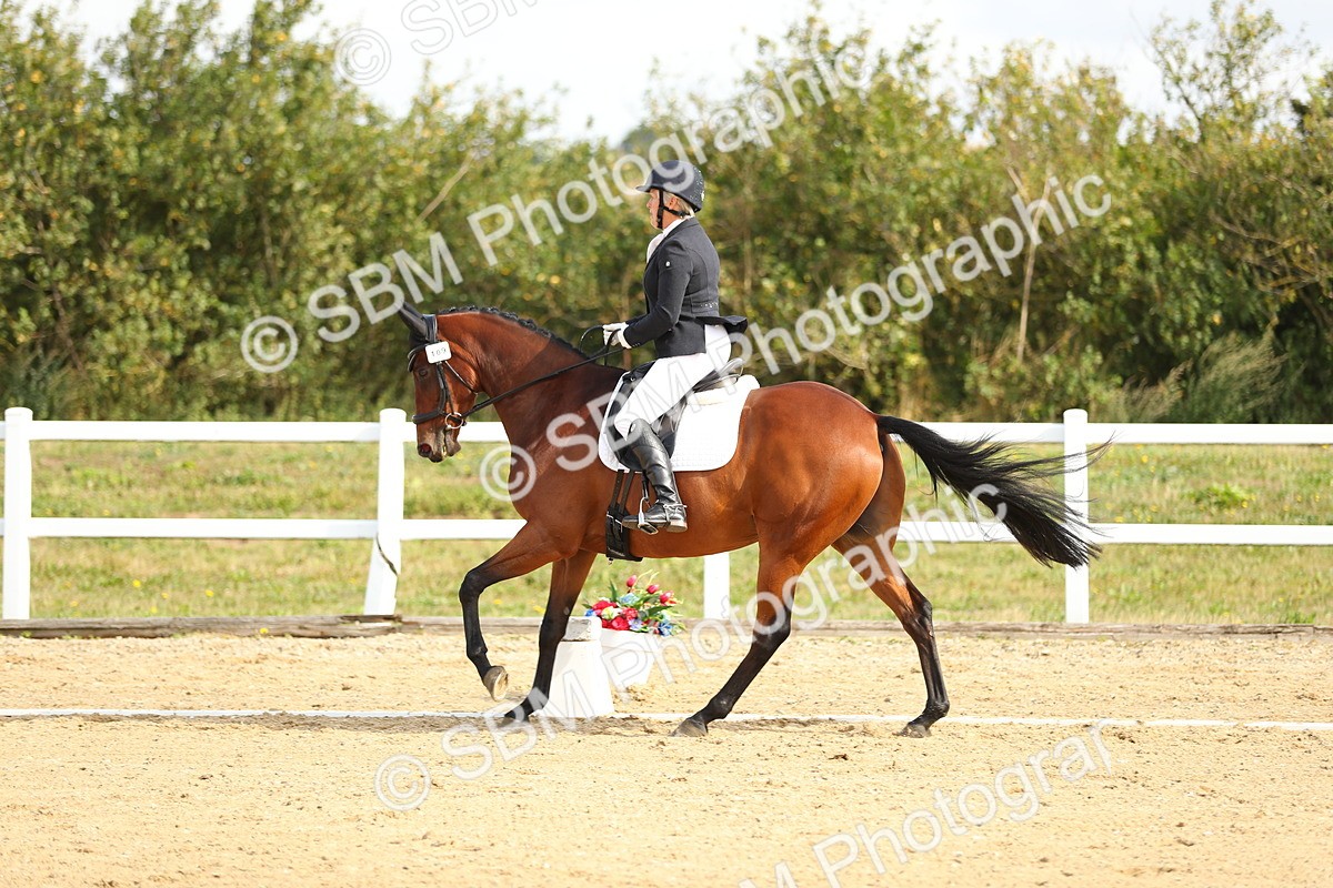 SBM_015473 - Class 14 - Novice 23 - 10.29-11.32