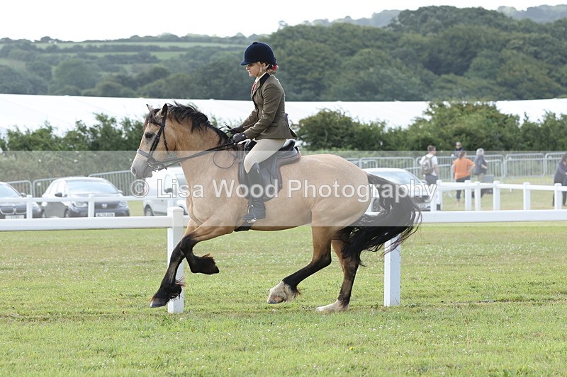 JPP_0822 - Class 16: Cornish Combination Young Rider
