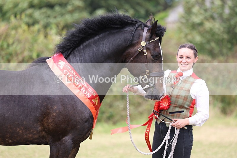 3E7A5749 - In Hand Championship