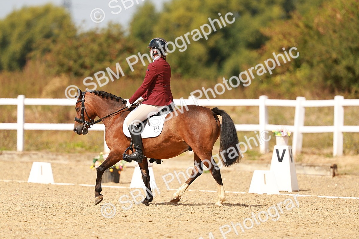 SBM_018620 - Class 9 - N5 Bronze 11.57.13.07